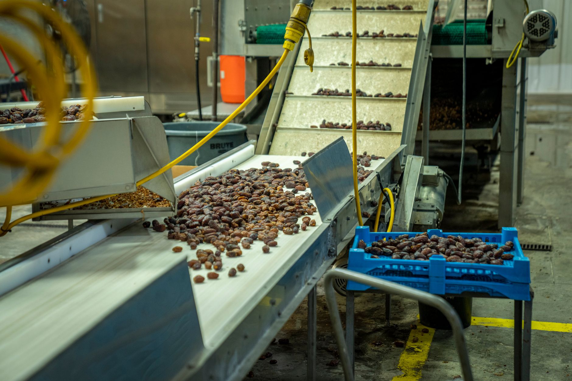Commodity Processing